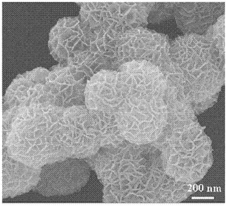 A kind of preparation method of hydrotalcite hollow microsphere