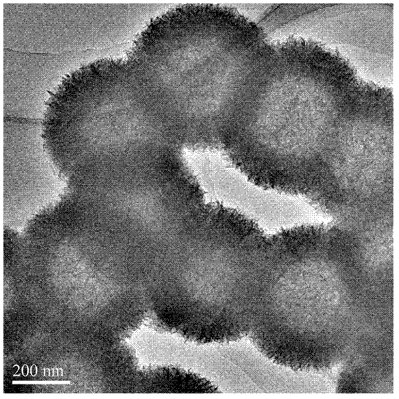 A kind of preparation method of hydrotalcite hollow microsphere