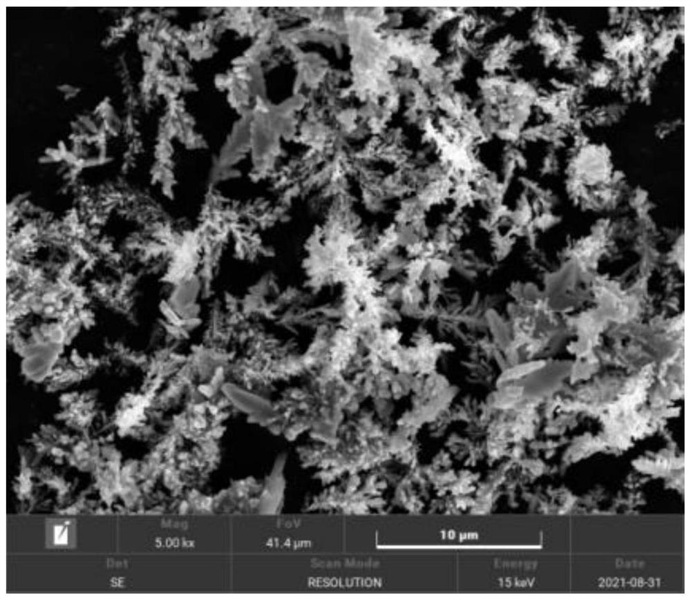 Preparation method for electronic-grade high-purity low-apparent-density dendritic copper powder