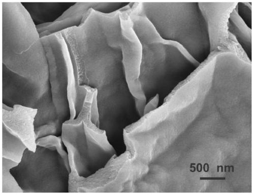 Macroporous biochar-based hybrid material for ultrafast removing heavy metals in water body as well as preparation method and application of macroporous biochar-based hybrid material