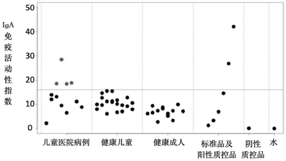 Application of reagent for detecting IgA immune complex