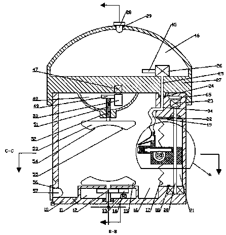 Fruit peeling device and application method thereof