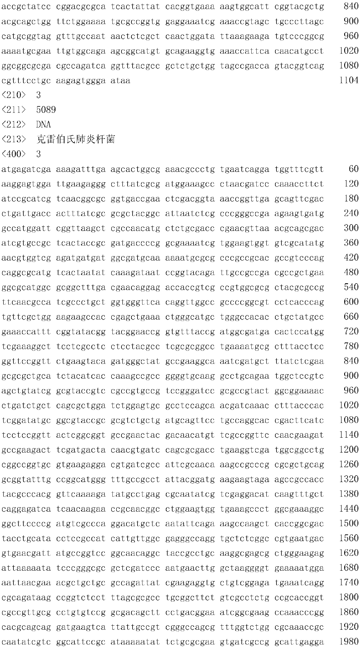 Recombinant Corynebacterium glutamicum producing 3-hydroxypropionic acid, its construction method and application