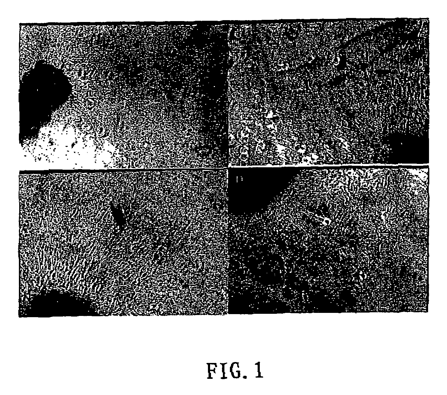 Substituted 6-membered N-heterocyclic compounds and method for their use as neurological regulator