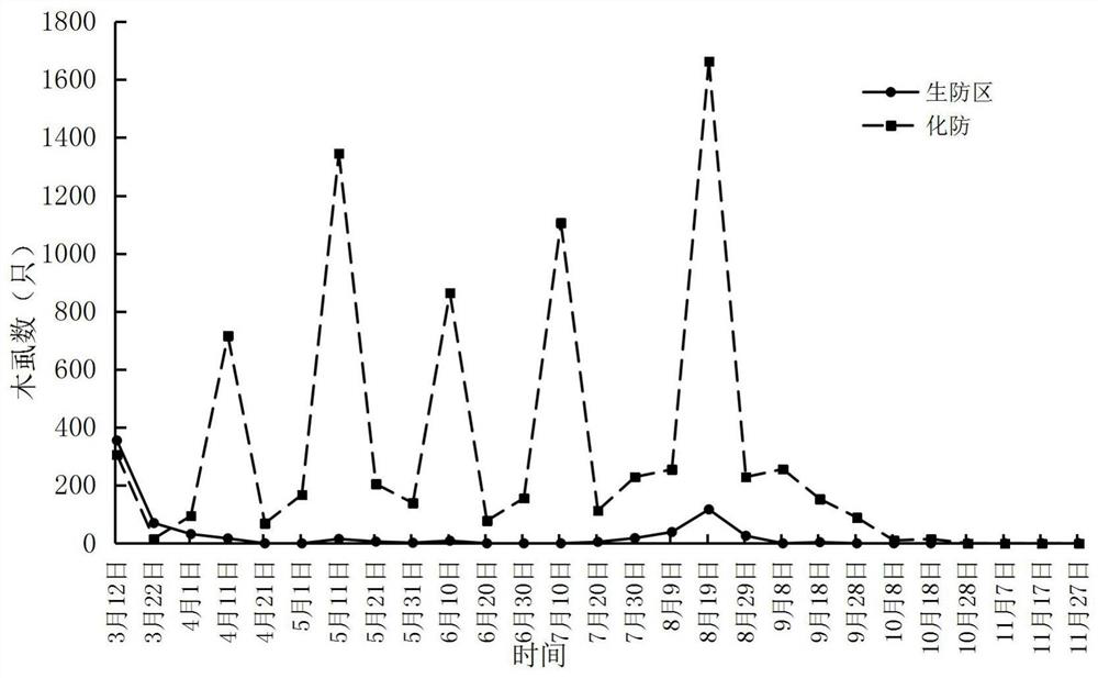 Application and method of a kind of Pseudomonas spp. in the prevention and treatment of olive star psyllid and/or citrus psyllid