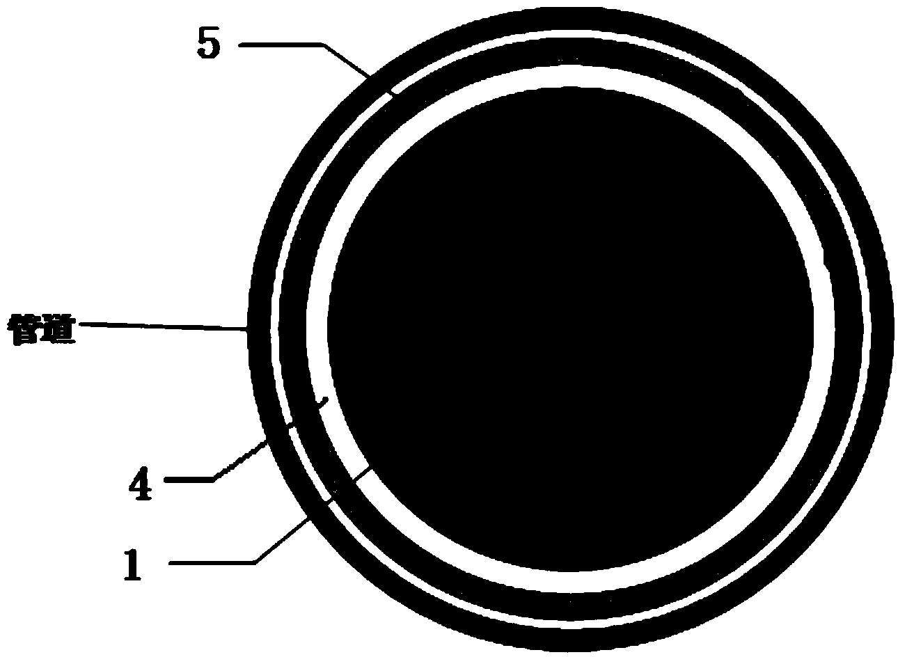 Complete cycle radial excitation electromagnetic ultrasonic transducer