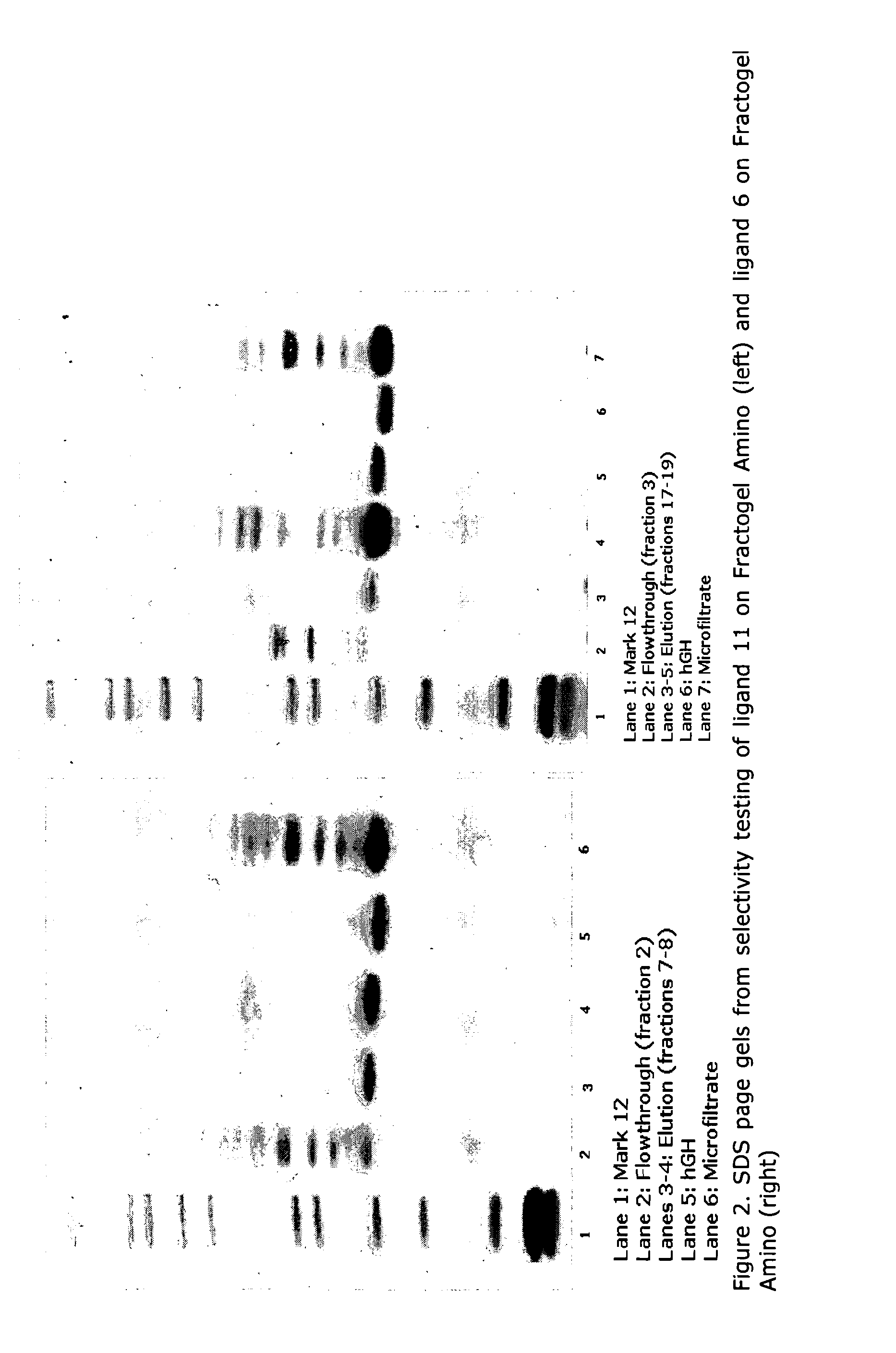 Process for the purification of human growth hormone polypeptides using affinity resins comprising specific ligands