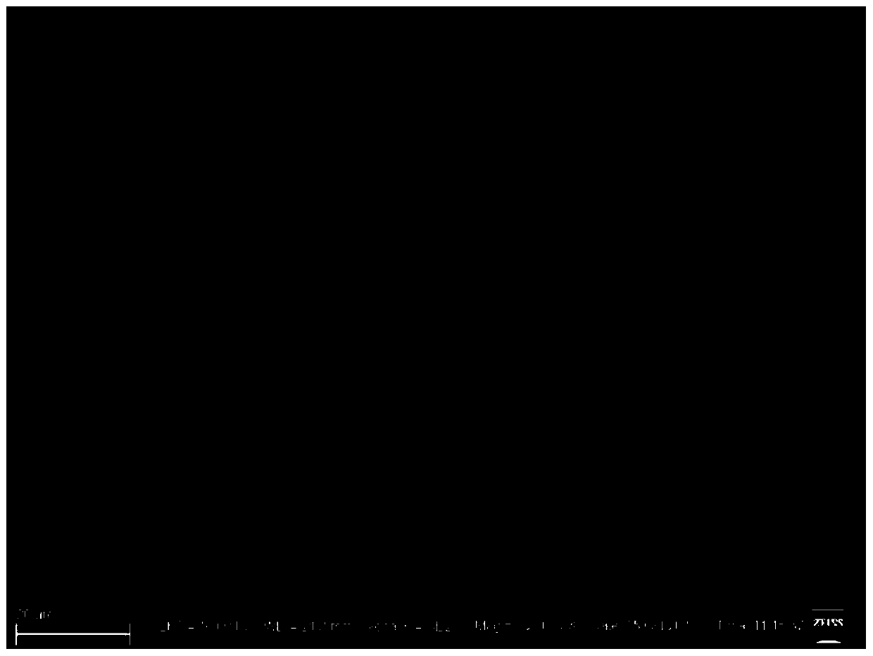 Fe3C-containing hollow composite carbon fiber with carbon nanotubes growing on inner and outer surfaces and preparation method of Fe3C-containing hollow composite carbon fiber