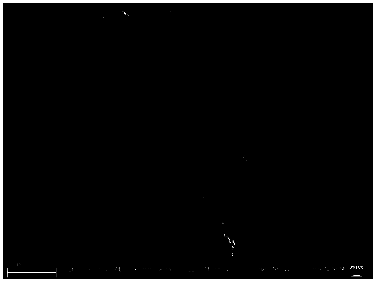 Fe3C-containing hollow composite carbon fiber with carbon nanotubes growing on inner and outer surfaces and preparation method of Fe3C-containing hollow composite carbon fiber