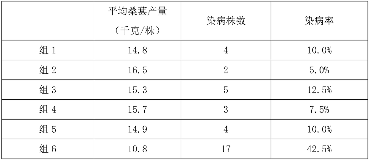 Fruit mulberry tree fertilizer and preparation method thereof