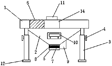 Mesh screen for picking camellia seeds