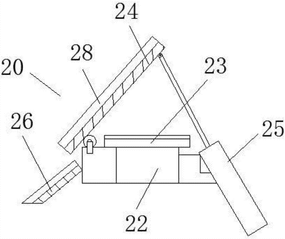 Automatic quantitative feeding device