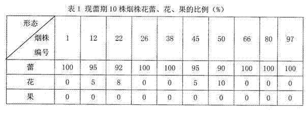 Tobacco seed-stage morphological classification characterization method based on sample consensus