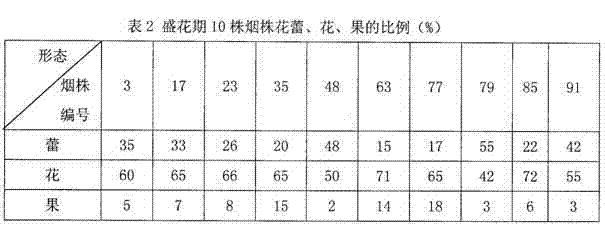 Tobacco seed-stage morphological classification characterization method based on sample consensus