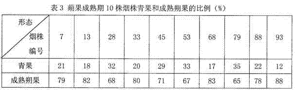 Tobacco seed-stage morphological classification characterization method based on sample consensus