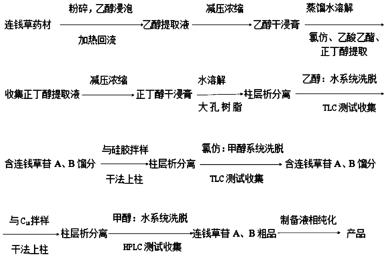 Diterpenoid glycoside compound in glechoma longituba and extraction and separation method thereof