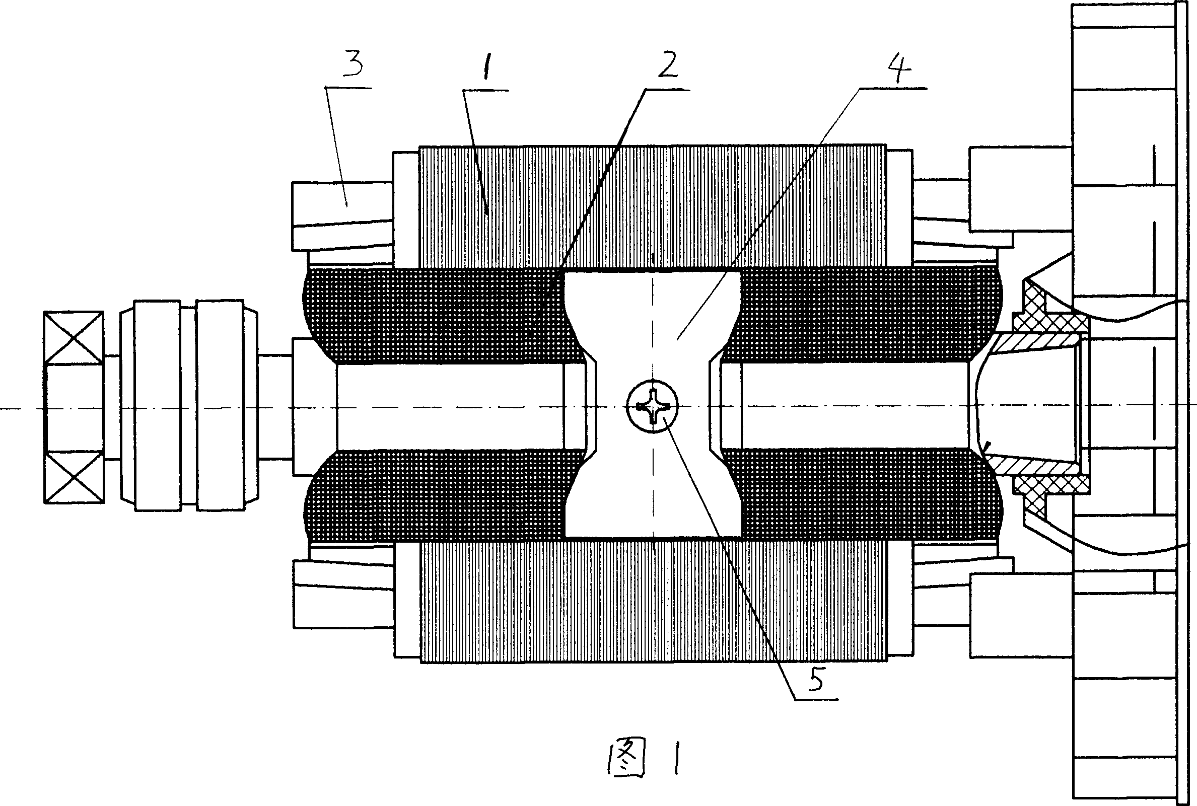 Mini-type bi-pole single-phase generator rotor