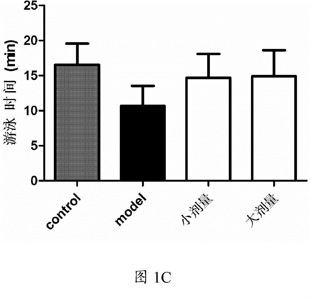 Application of reduced coenzyme II