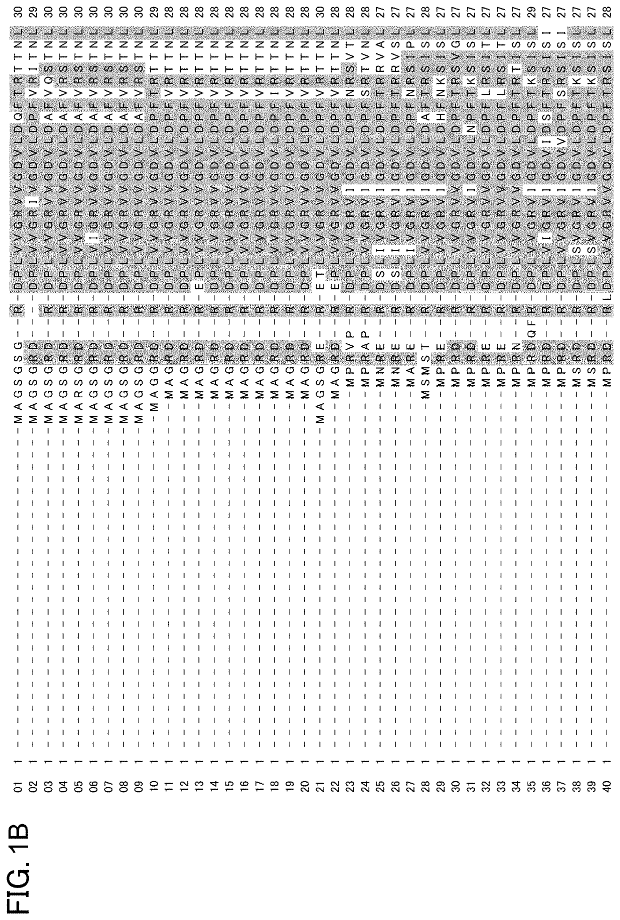 Polypeptide for genome shuffling in plants, and use therefor