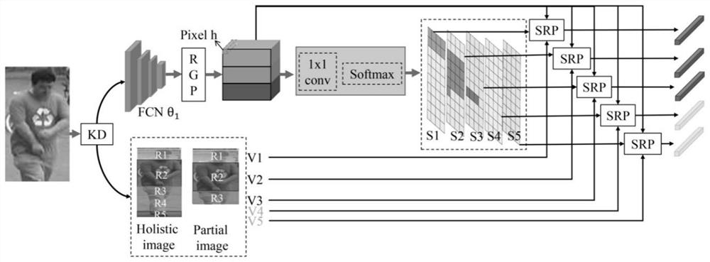 Partial pedestrian re-identification method based on visible perception texture semantic alignment