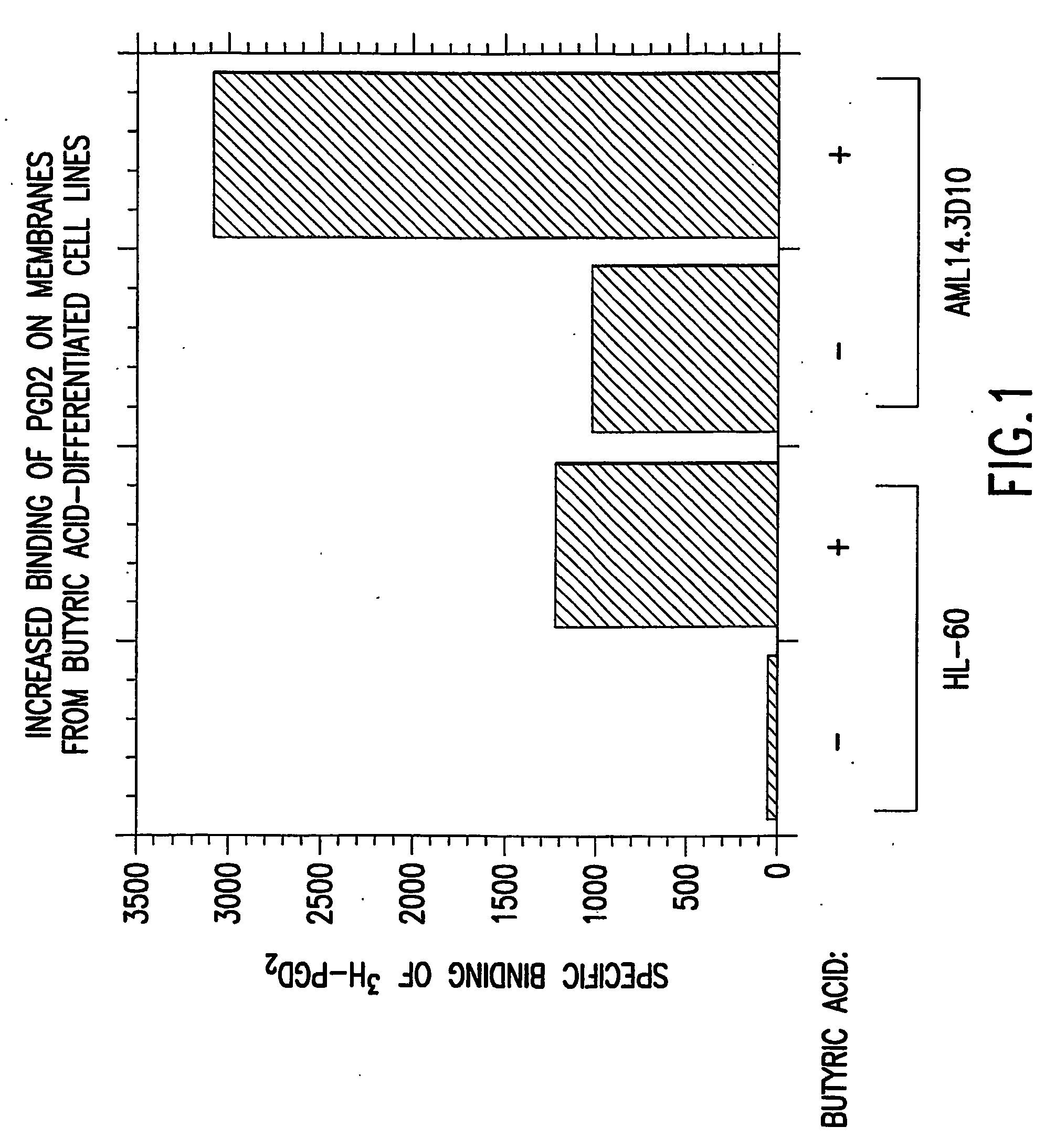 Method to increase expression of pgd2 receptors and assays for identifying modulators of prostaglandin d2 receptors