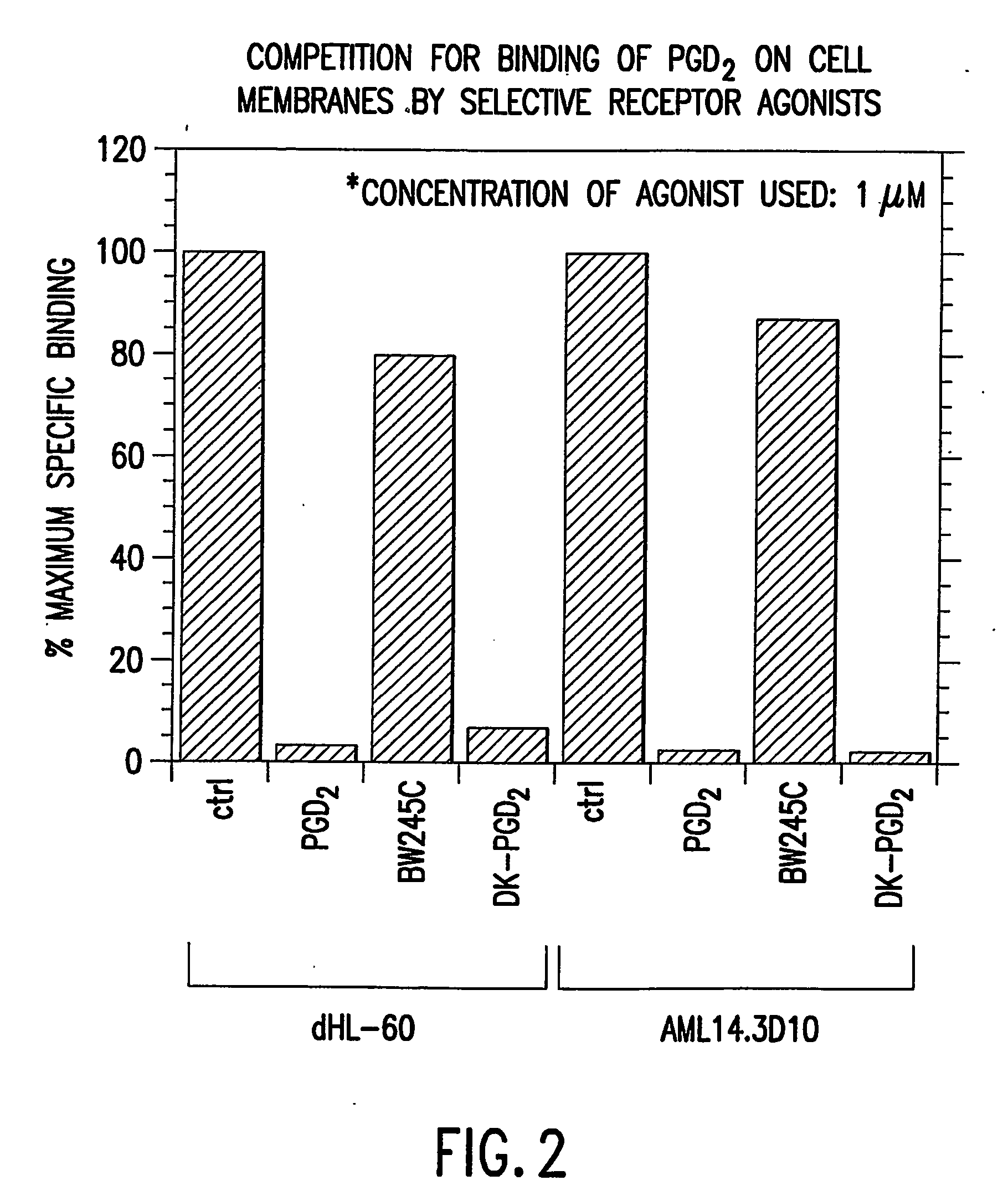 Method to increase expression of pgd2 receptors and assays for identifying modulators of prostaglandin d2 receptors