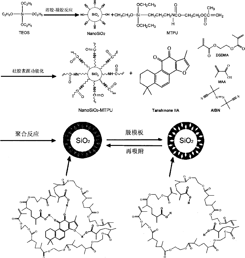 Method for preparing core-shell structured composite nano surface molecular imprinting polymer of tanshinone compound