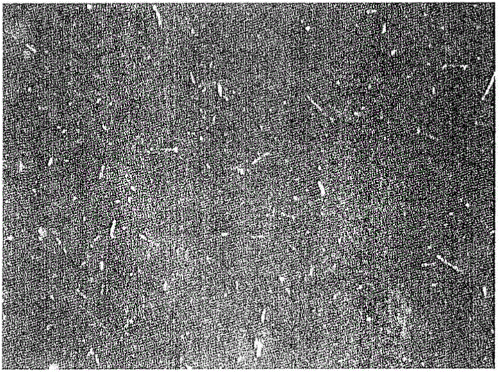 Process for production of fine cellulose fiber dispersion