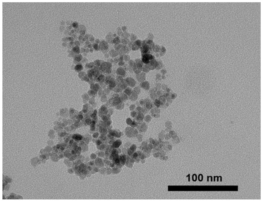 One-step method for preparing surface-functionalized superpara-Fe3O4 magnetic nanoparticles