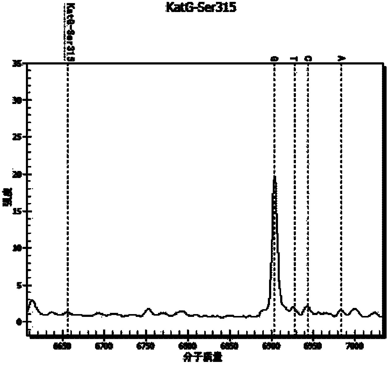 Method and kit for detecting drug resistance gene mutant type of tuberculous bacillus (TB)