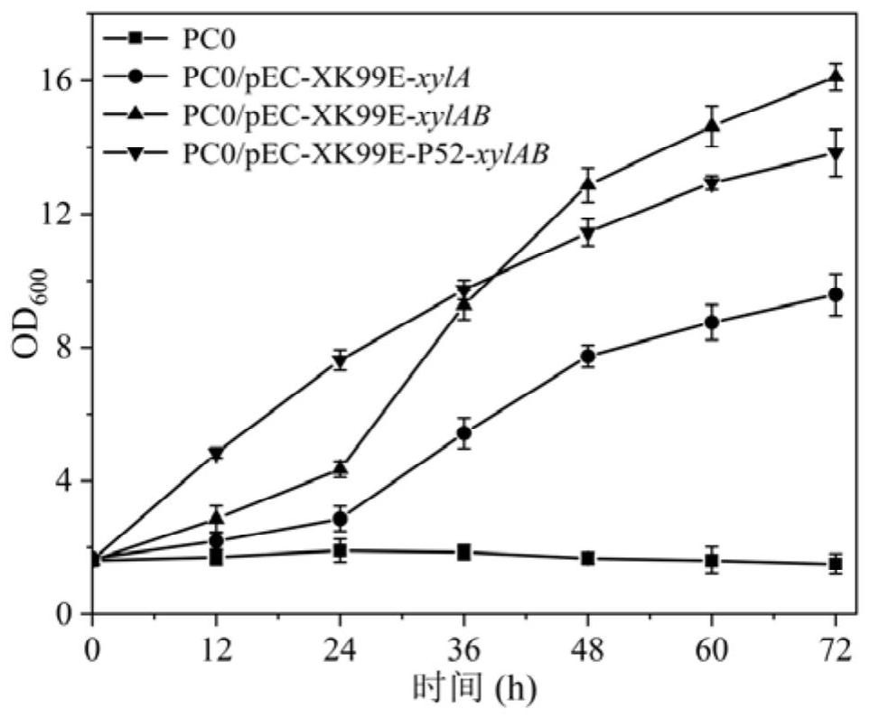 Method for producing 1, 4-butanediamine by fermenting xylose and xylose-containing hydrolysate