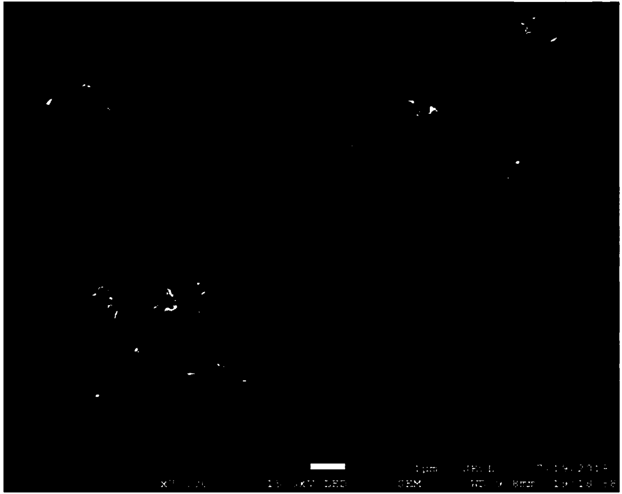 Preparation method and application of nitrogen-doped carbon nano fiber compound zinc oxide lithium ion battery cathode material