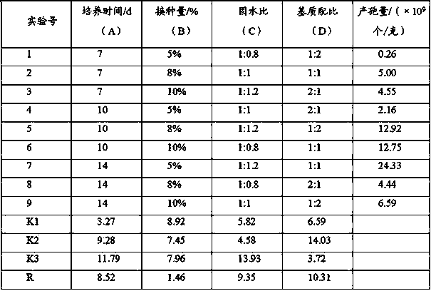 Production process for fermenting trichoderma spp by taking orange peels as raw materials