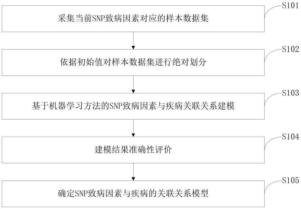 SNP pathogenic factors and disease association model establishment method