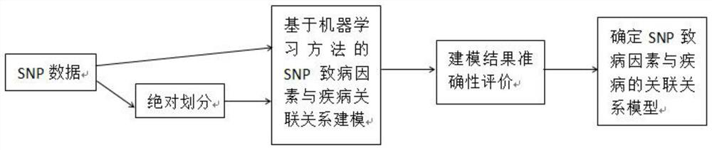 SNP pathogenic factors and disease association model establishment method