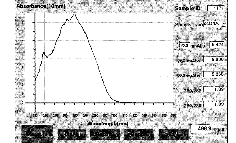 Method for detecting locus rs873457 of hypertension susceptibility genes and detection kit