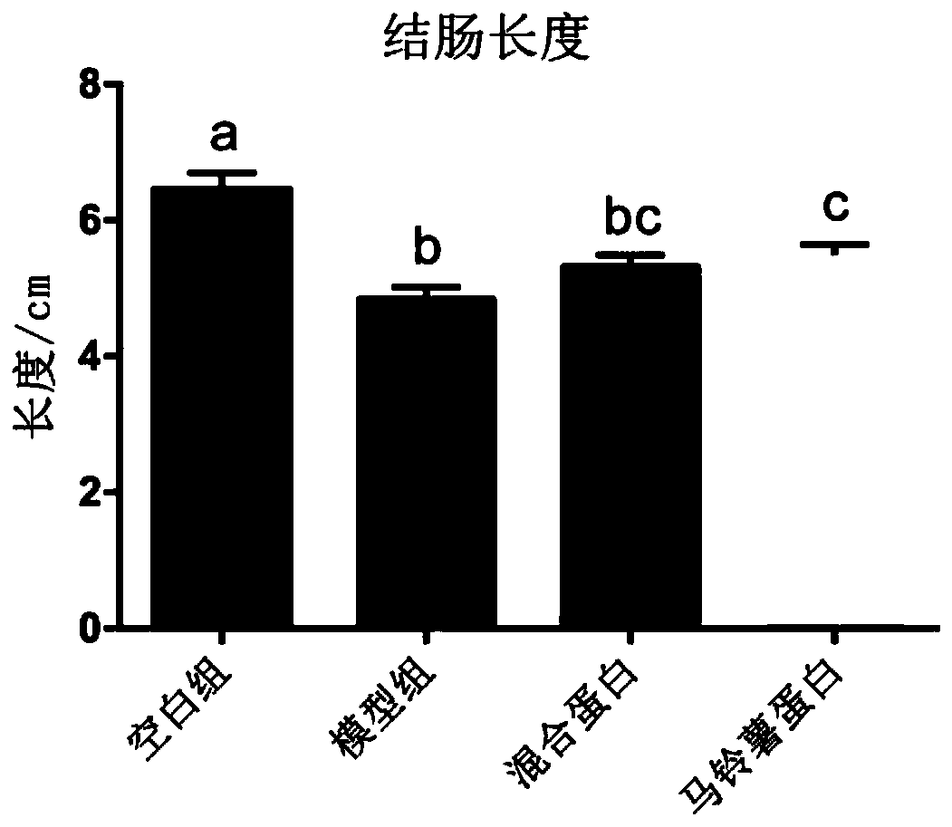 Total-nutrient formula food for assisting in regulating intestinal immune functions