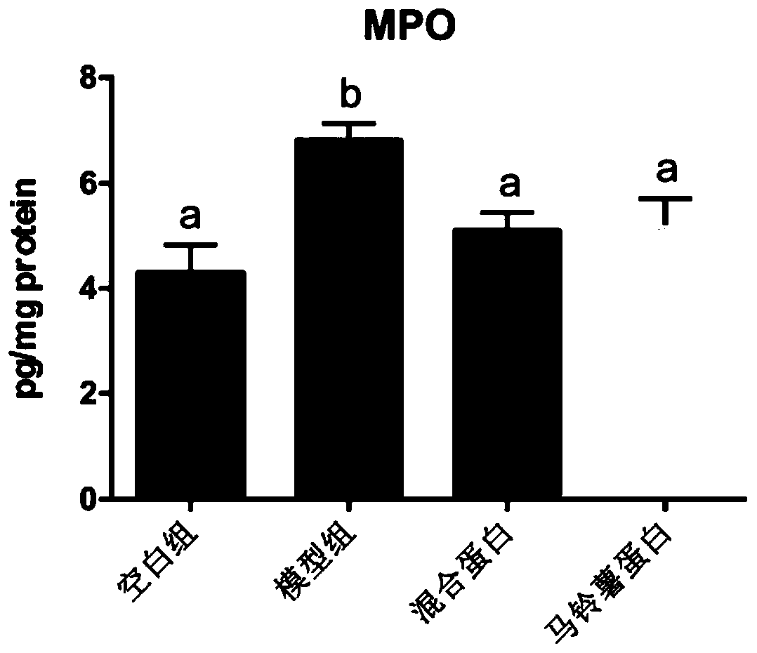 Total-nutrient formula food for assisting in regulating intestinal immune functions