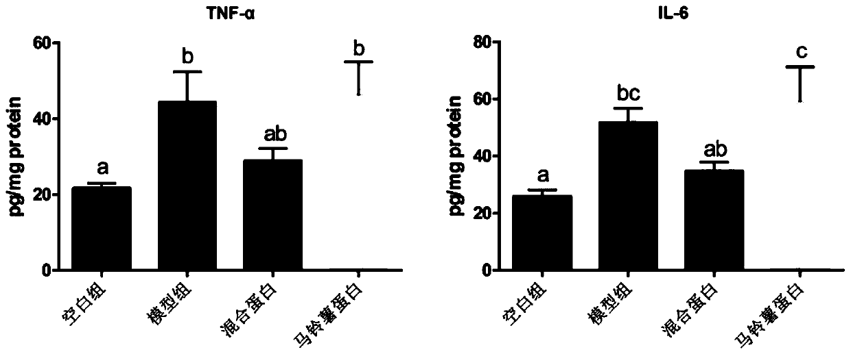 Total-nutrient formula food for assisting in regulating intestinal immune functions