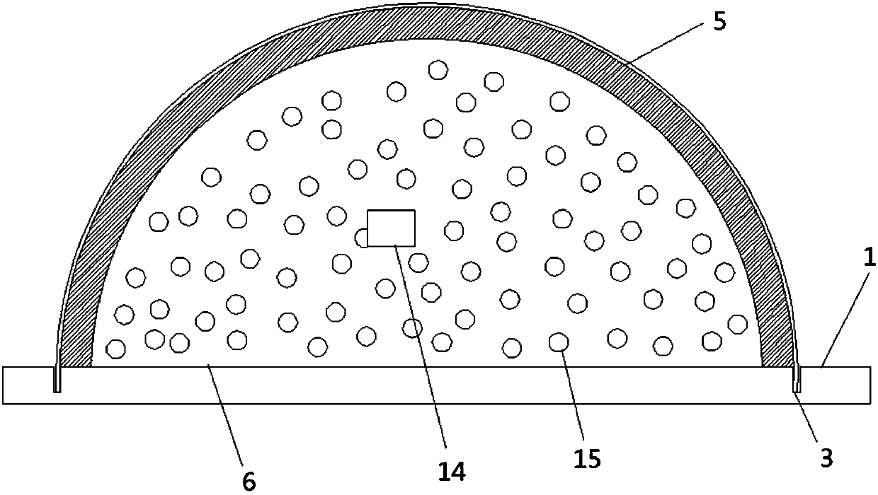 A device for animal tail vein injection