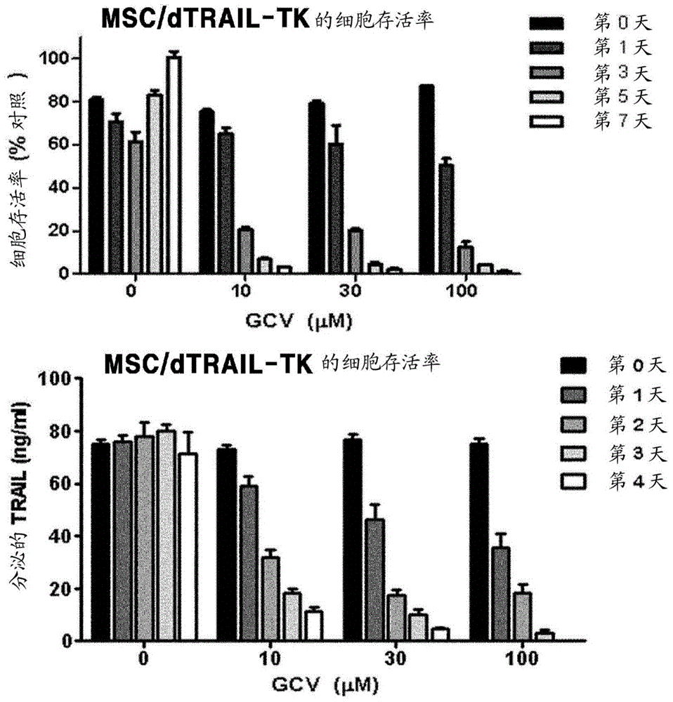 Vector coexpressing dodecameric trail and suicide gene hsv-tk, and anticancer stem cell medicine using thereof