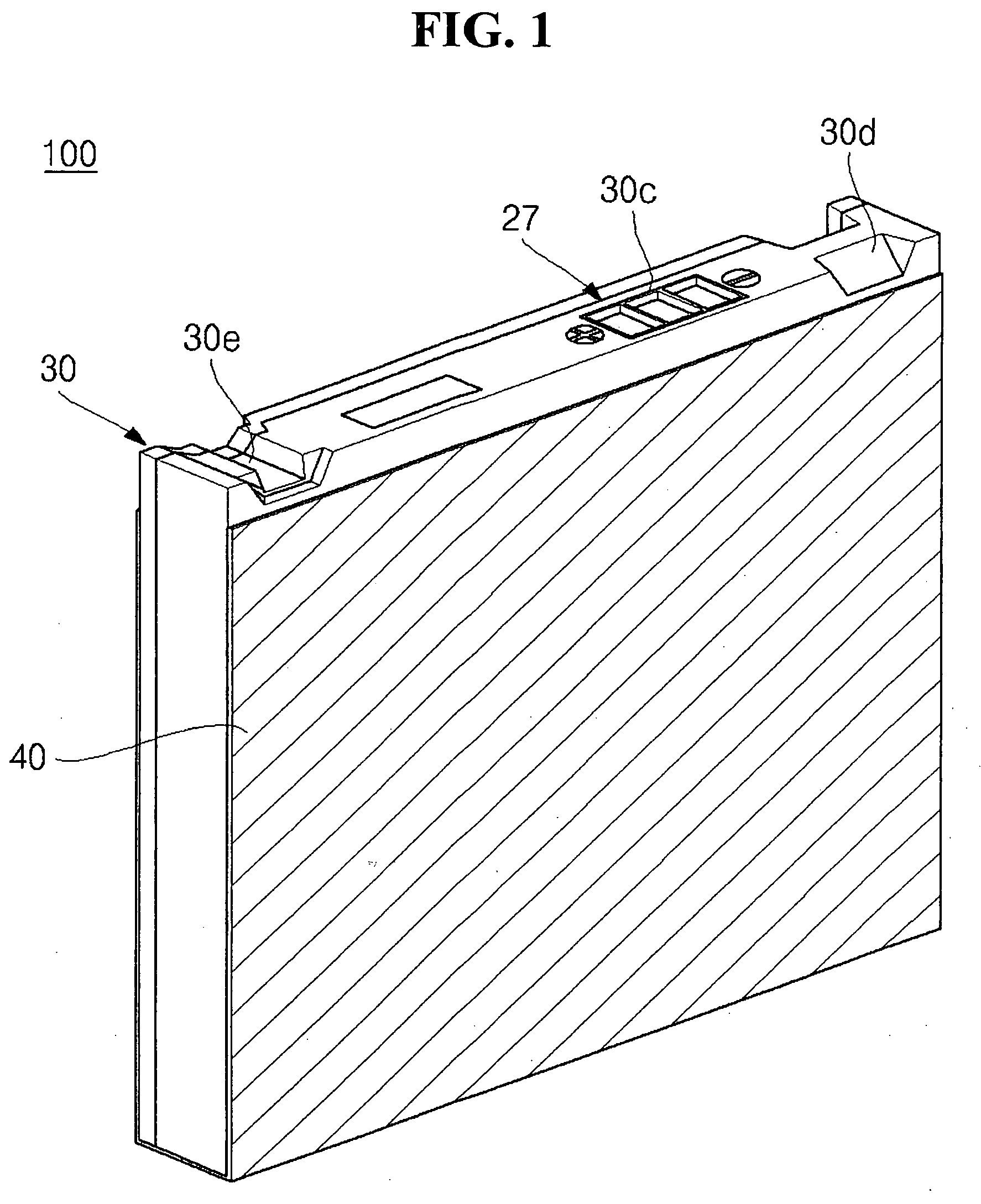 Polymer battery pack