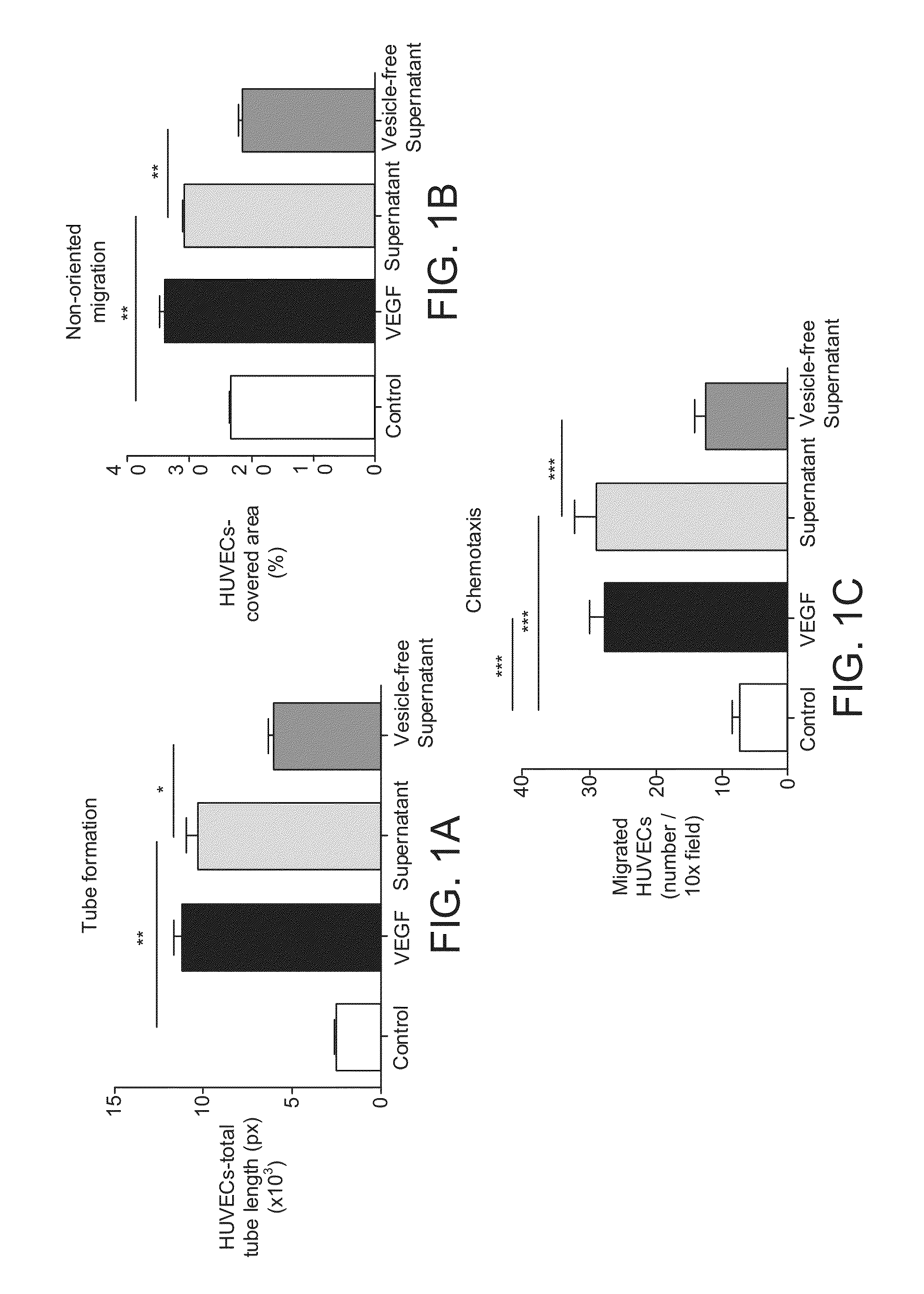 Detecting and Treating Liver Damage