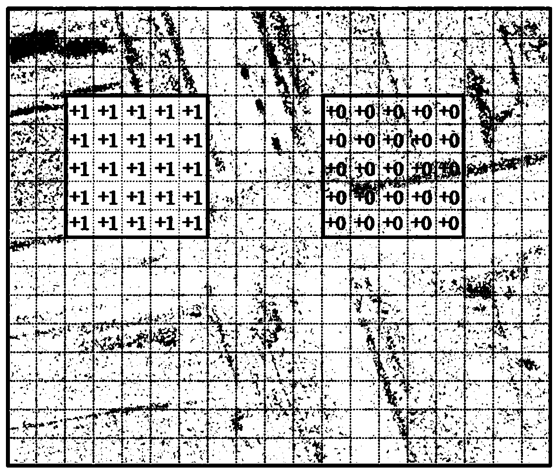 Video SAR moving target detection method based on image region accumulation