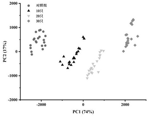 Early prediction method for invasion quantity of platycladus orientalis bark beetles based on GC-IMS