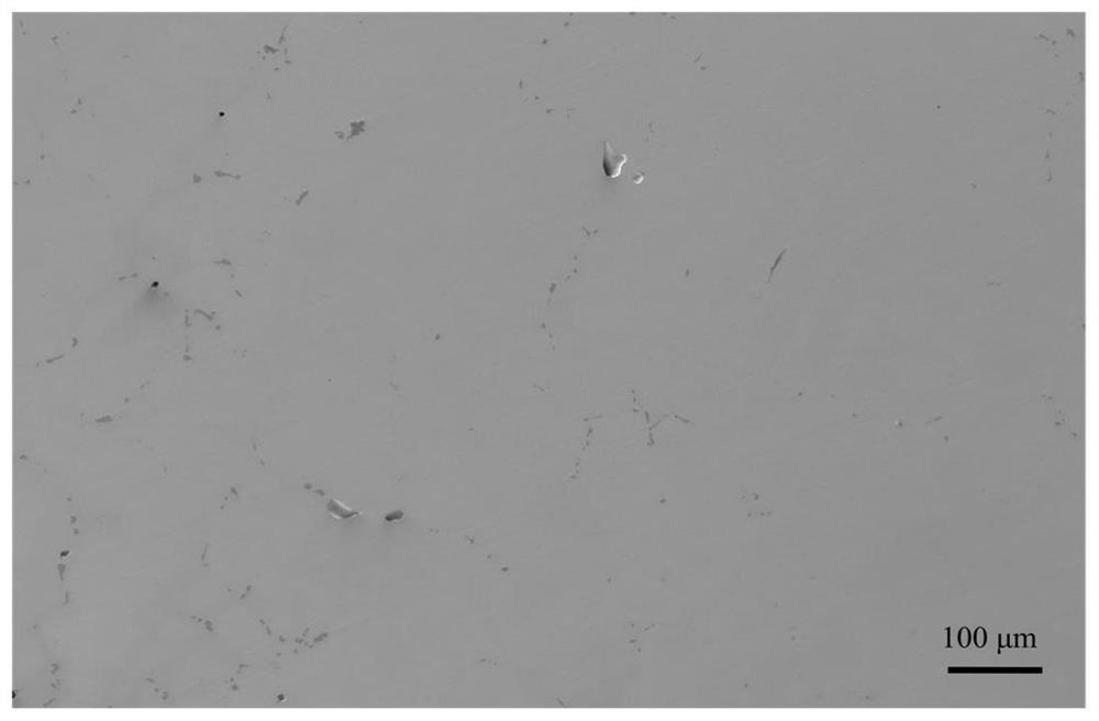 Two-stage homogenization heat treatment method for high-strength nickel-based superalloy cast ingot