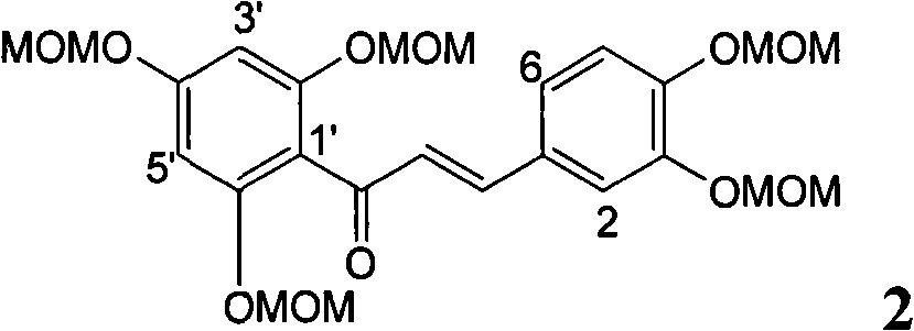 Application of E ring benzyloxy substituted silybin in preparing glycosidase inhibitors