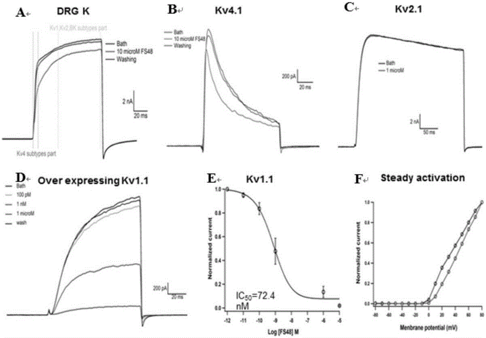 Xenopsylla cheopis polypeptide and gene and application thereof