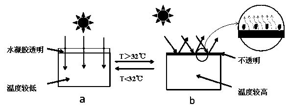 Preparation method and application method of hydrogel for intelligent temperature control