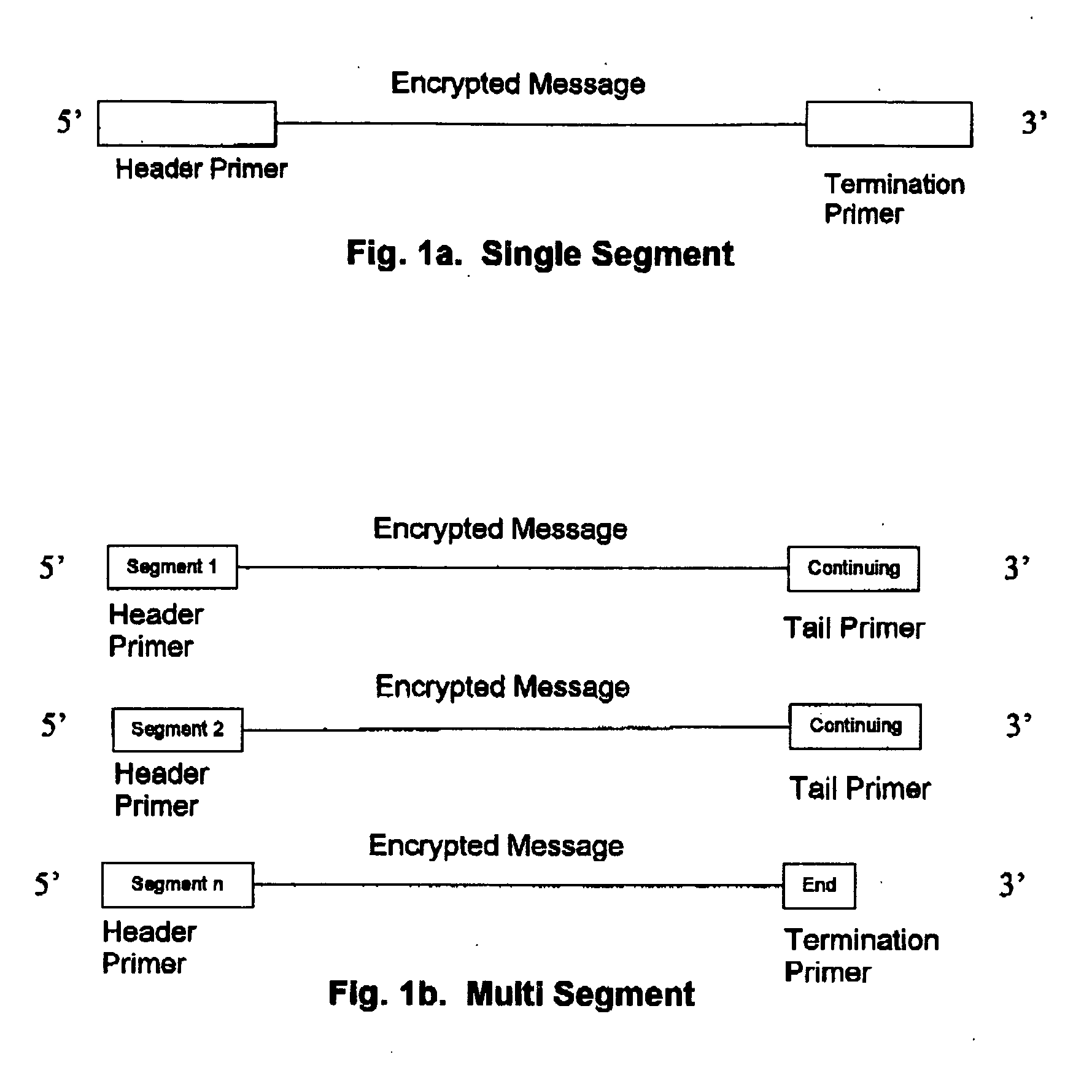 Method for storing information in DNA